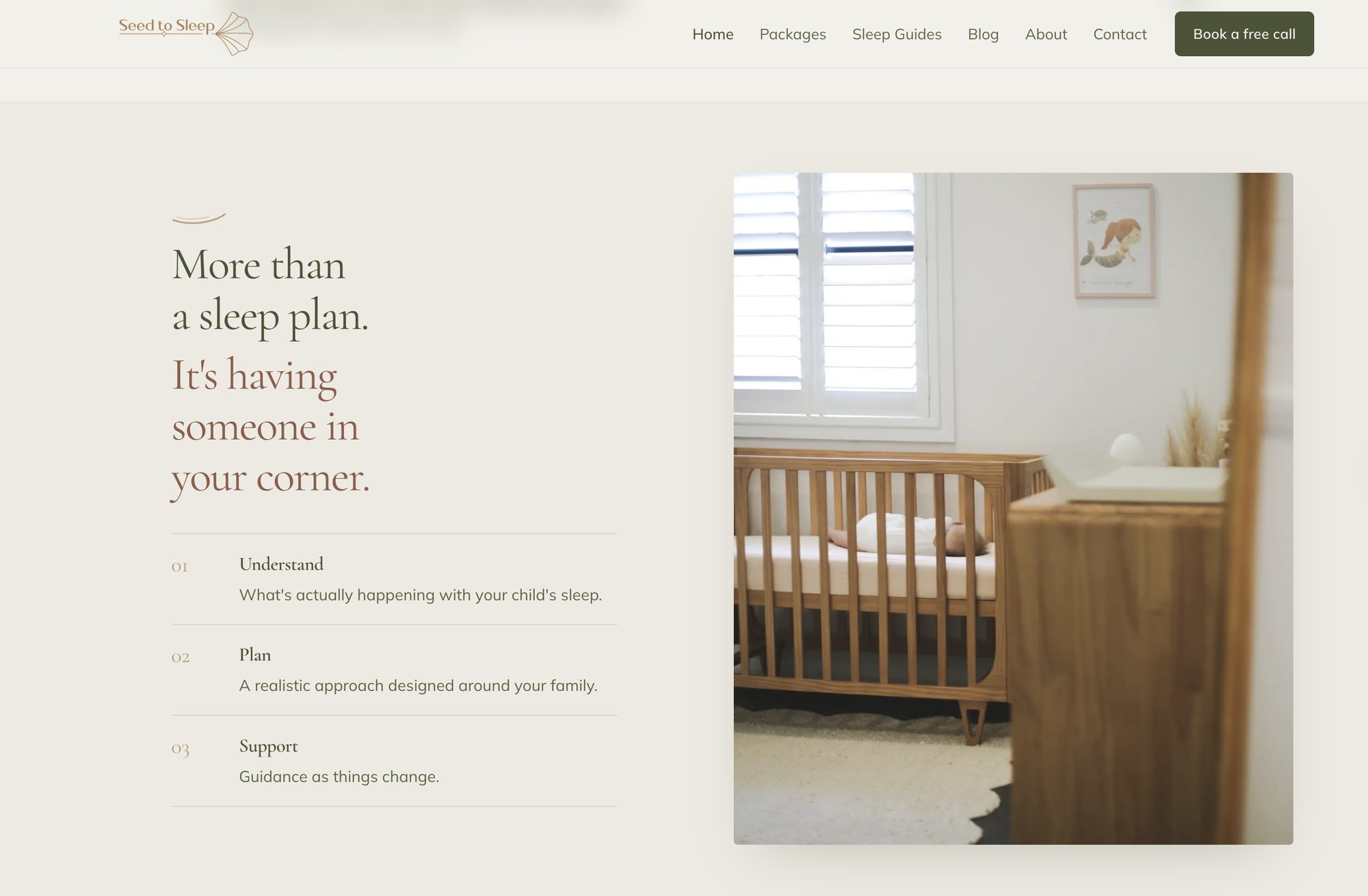 A section of the rebuilt Seed to Sleep homepage explaining understand, plan and support
